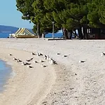 Vukusic