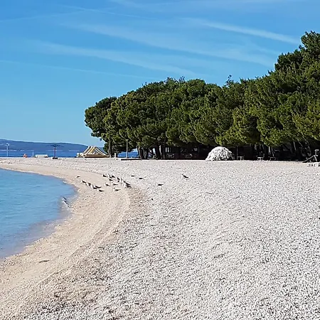 Vukusic