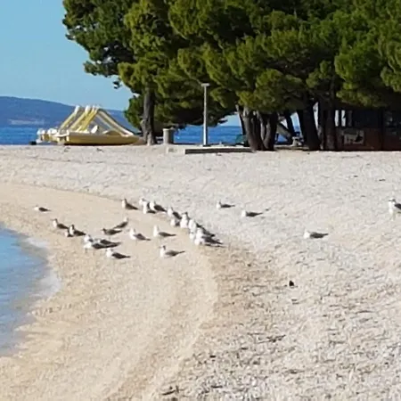 Vukusic